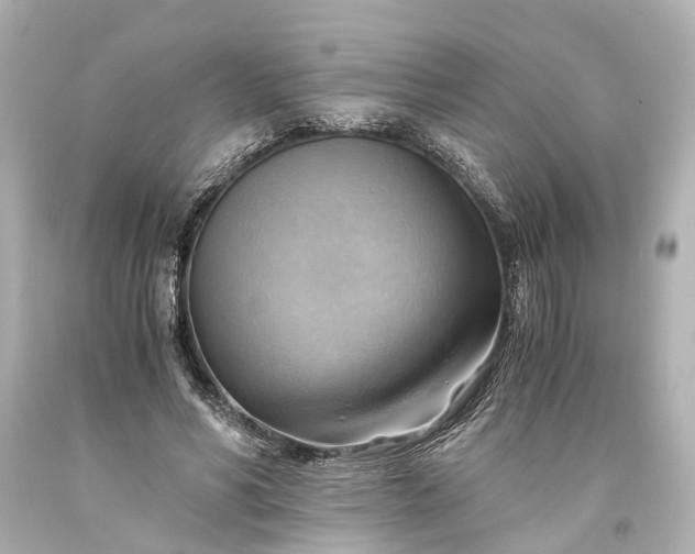 X0000093590590200710291124