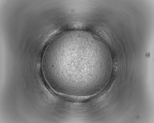 X0000093590593200710291124
