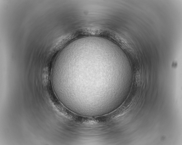 X0000093590594200710291124