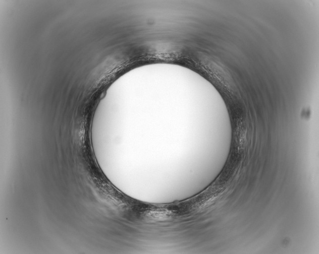 X0000093590595200710291124