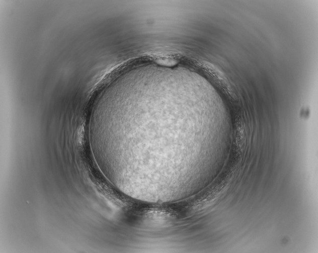 X0000093590596200710291124