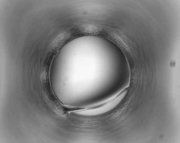 X0000093590597200710291124