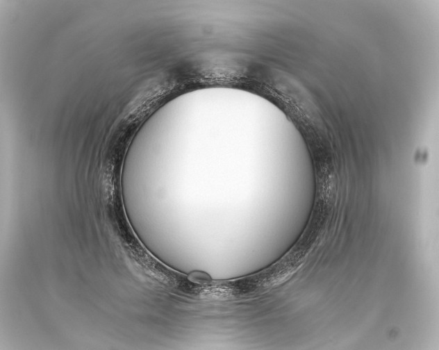 X0000093590599200710291124