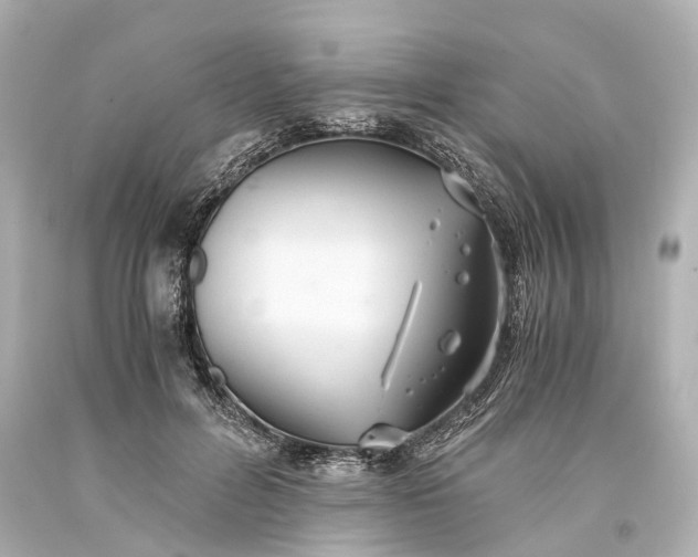X0000093590600200710291124