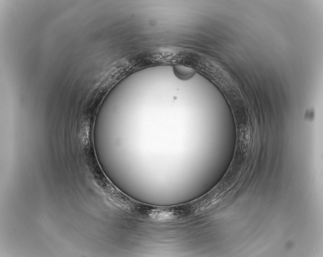X0000093590602200710291124