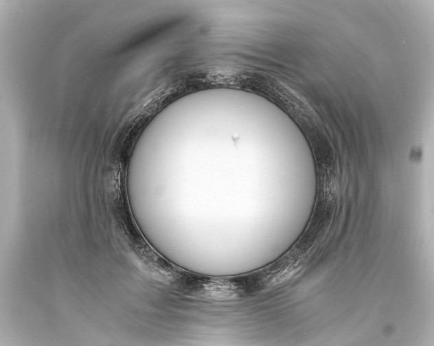 X0000093590603200710291124
