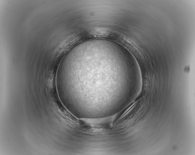 X0000093590604200710291124