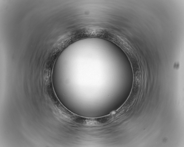 X0000093590605200710291124