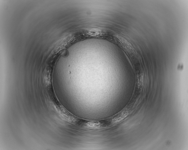 X0000093590606200710291124