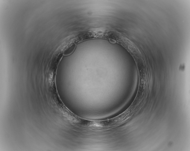 X0000093590610200710291124