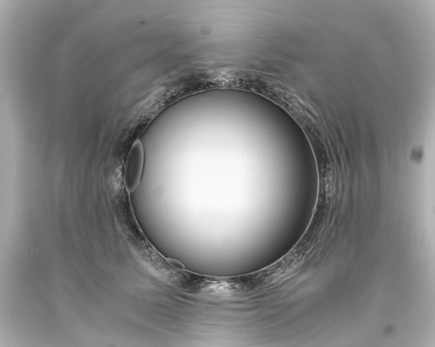 X0000093590611200710291124