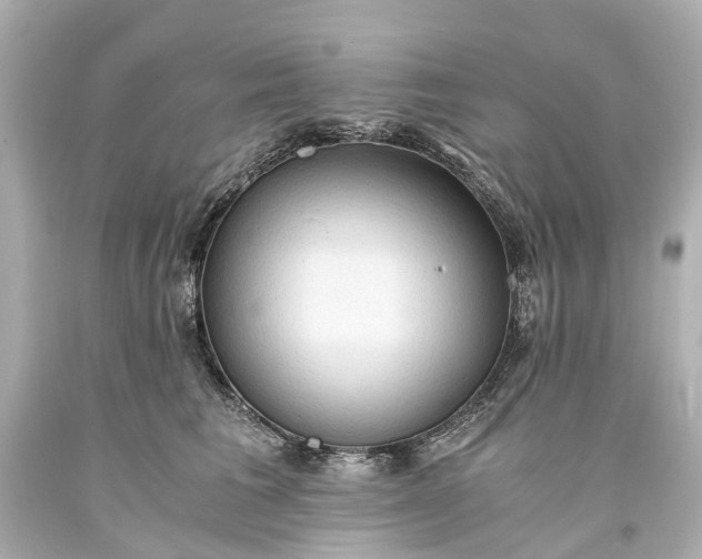 X0000093590613200710291124