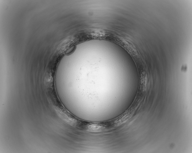 X0000093590614200710291124