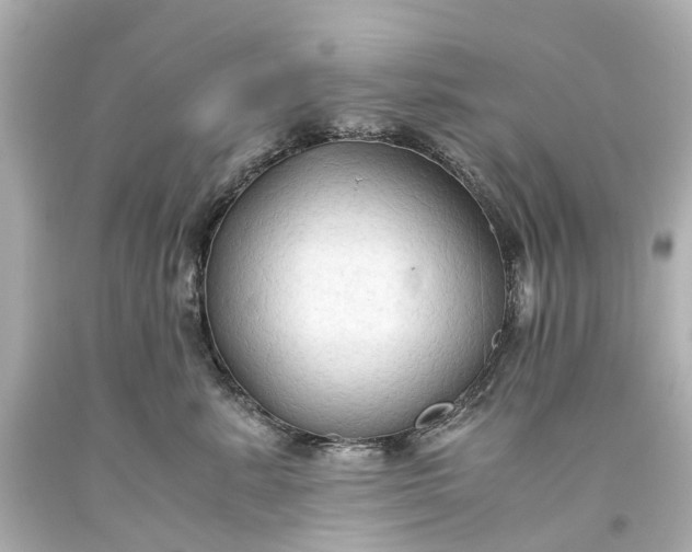 X0000093590619200710291124