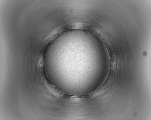 X0000093590620200710291124