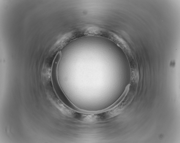 X0000093590621200710291124