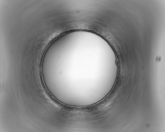 X0000093590625200710291123
