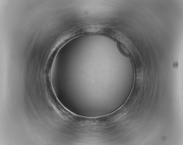 X0000093590626200710291123