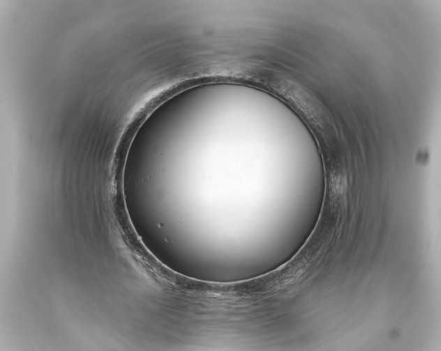 X0000093590628200710291123