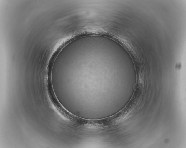 X0000093590630200710291123