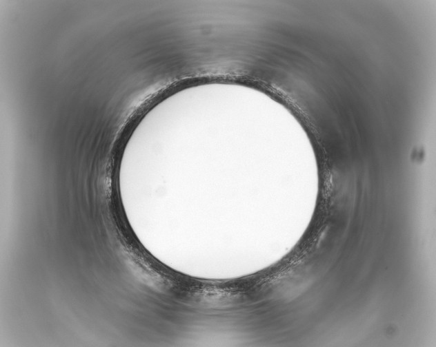 X0000093590632200710291123