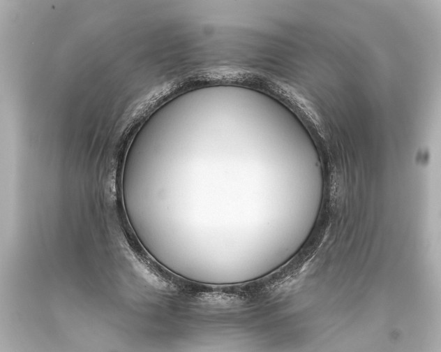 X0000093590633200710291123