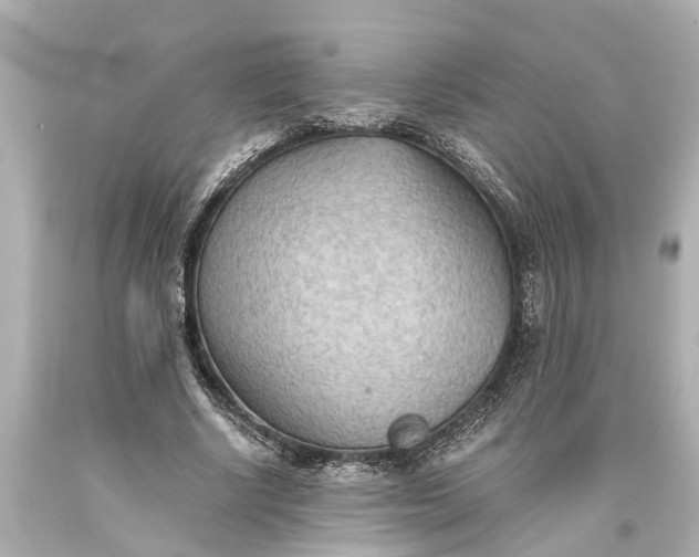 X0000093590634200710291123