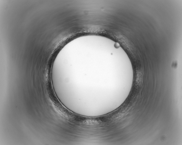 X0000093590636200710291123