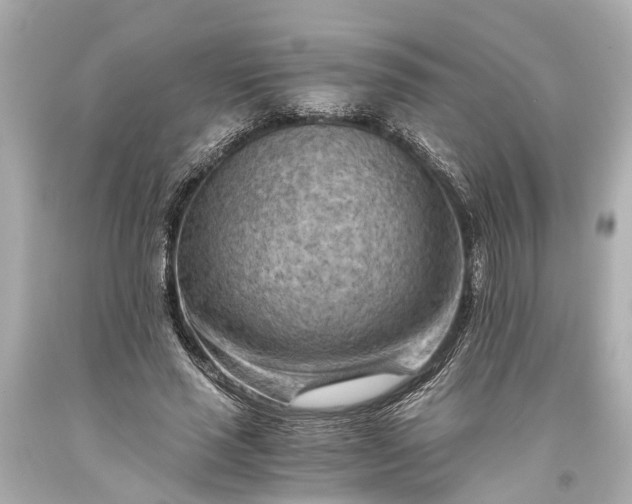 X0000093590637200710291123