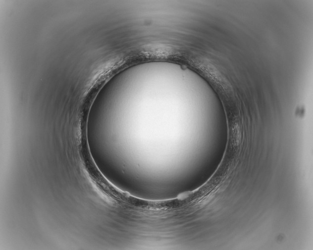 X0000093590638200710291123