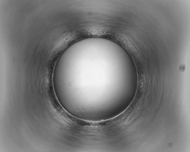 X0000093590639200710291123