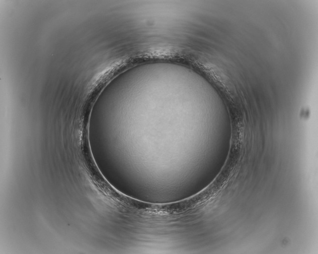 X0000093590640200710291123
