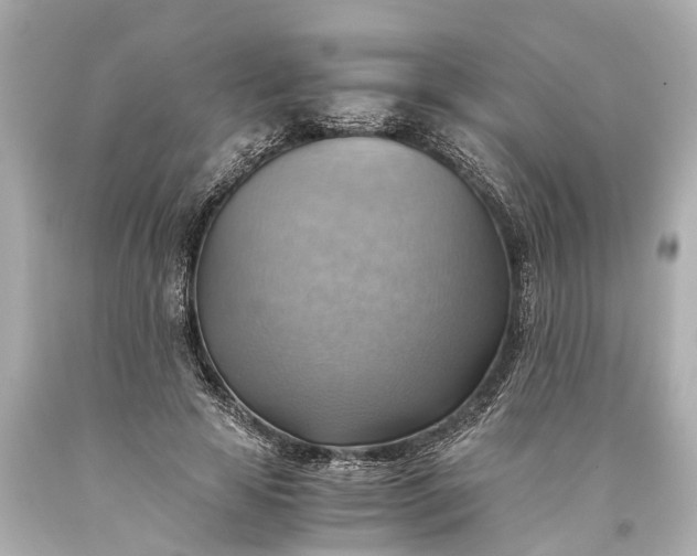 X0000093590641200710291123