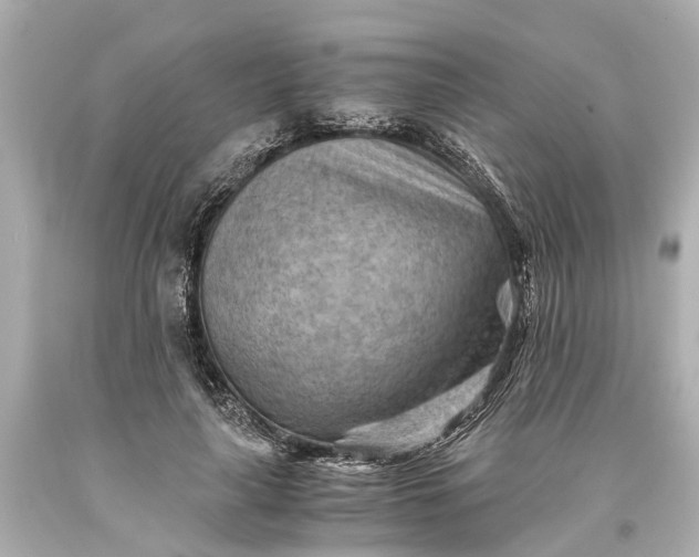 X0000093590643200710291123