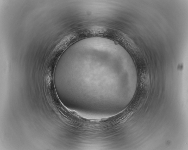 X0000093590644200710291123