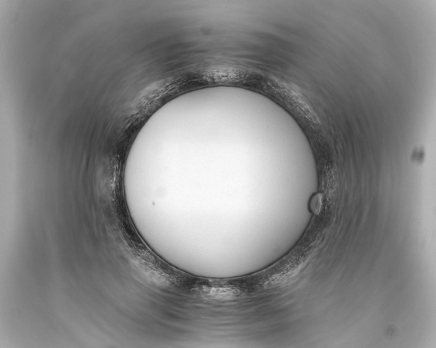X0000093590645200710291123