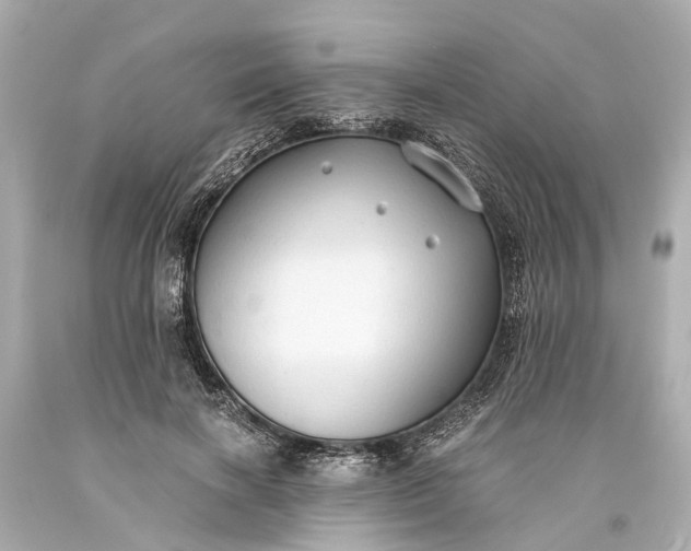 X0000093590646200710291123