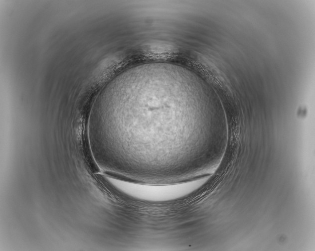 X0000093590647200710291123