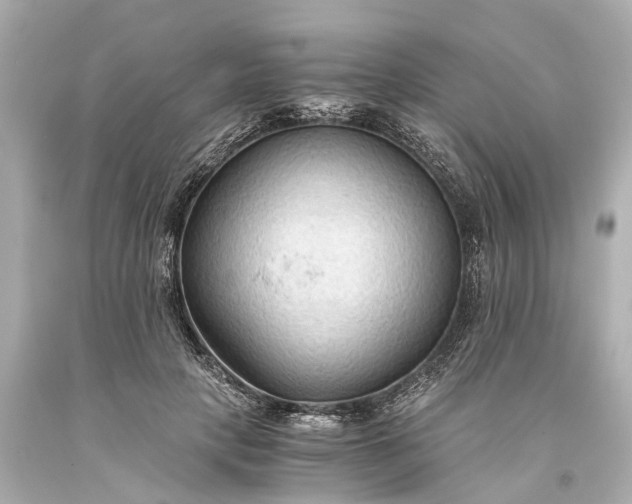 X0000093590649200710291123
