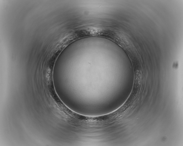 X0000093590650200710291123