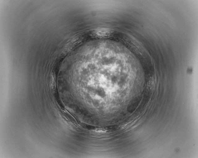 X0000093590651200710291123