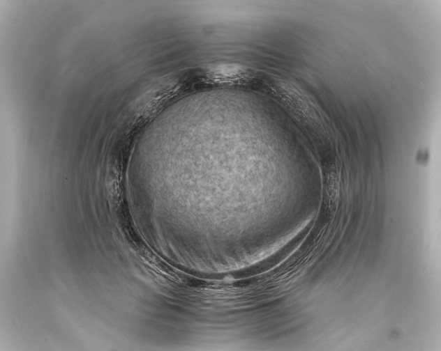 X0000093590653200710291123