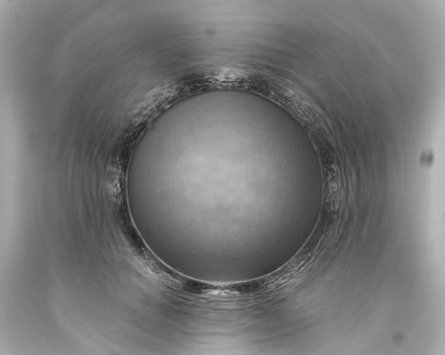 X0000093590654200710291123