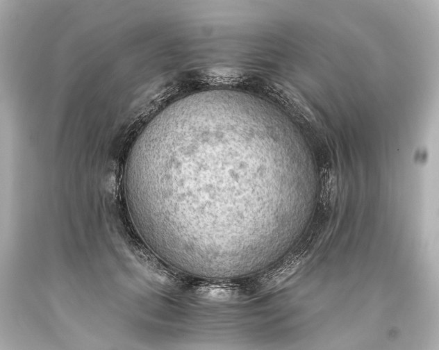 X0000093590655200710291123