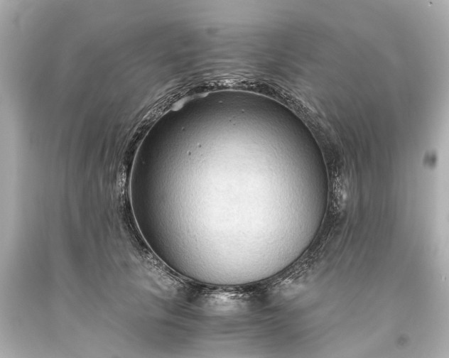 X0000093590657200710291123