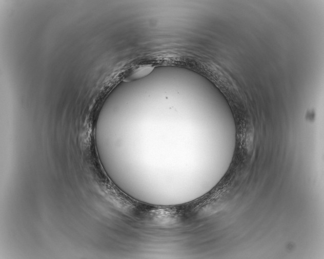 X0000093590660200710291123