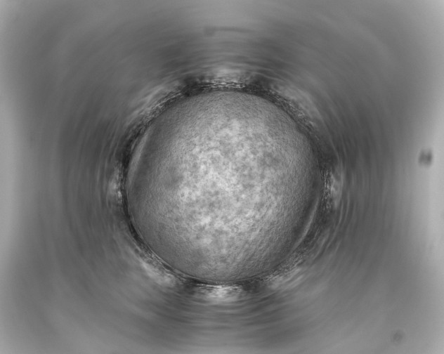 X0000093590663200710291123