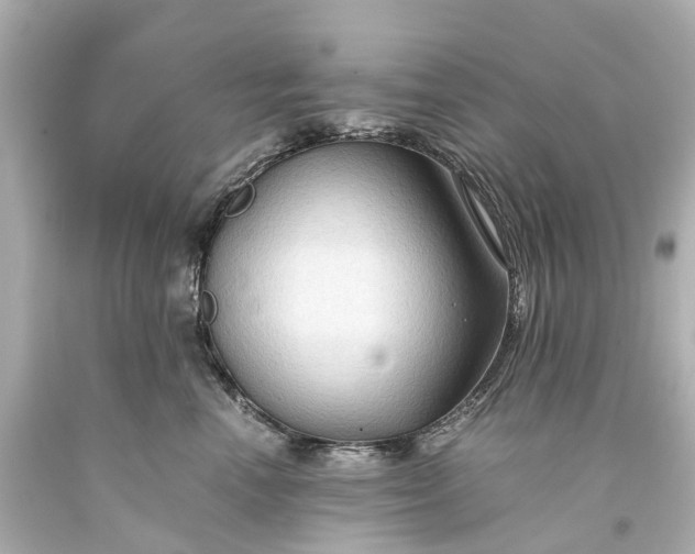 X0000093590666200710291123