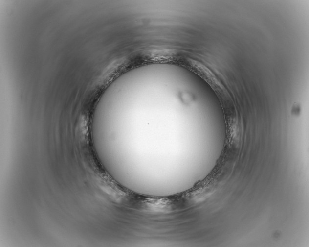 X0000093590667200710291123