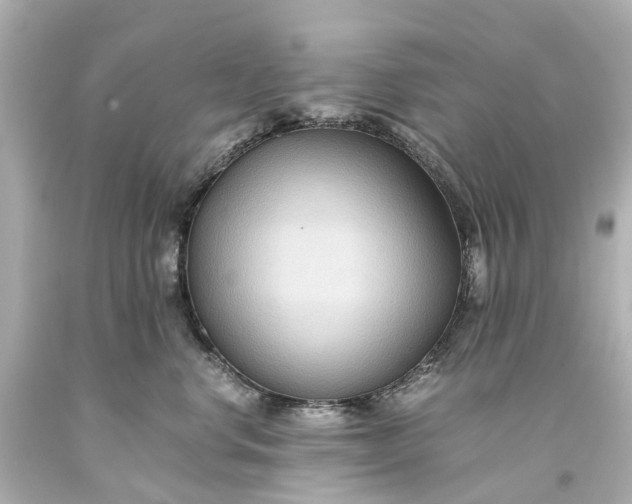 X0000093590668200710291124